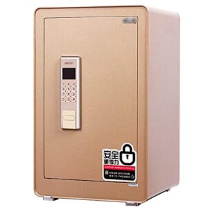 Coffre-Fort Coupe-Feu: Protégez votre Maison 60x38x36cm/24X15.1X14.1inch