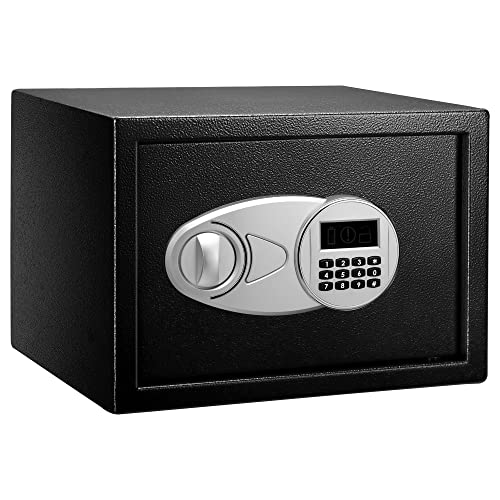Coffre Sécurisé pour Maison: Amazon Basics 14L Noir