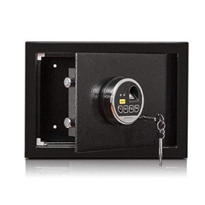 Coffres-forts pour Professionnels: Ignifuges, Biométriques, Acier Massif et 2 Clés Incluses